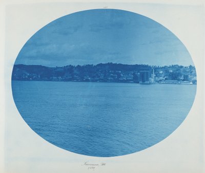 Savannah, Ill. tekijältä Henry Peter Bosse
