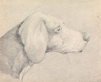 Foxhoundin pää, profiilista oikealta tekijältä Henry Thomas Alken