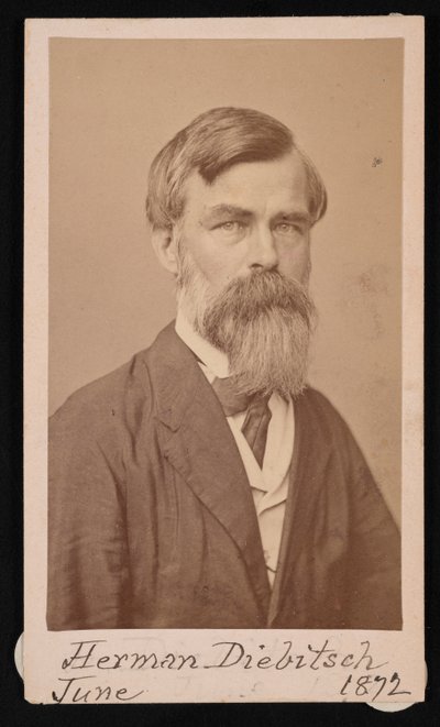 Herman Henry Diebitschin muotokuva 1818-1883, 1871. tekijältä Henry Ulke