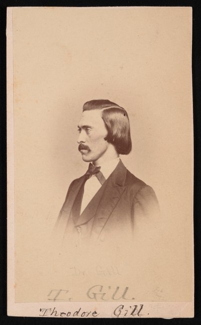 Theodore Nicholas Gillin muotokuva 1837-1914, 1865-1870. tekijältä Henry Ulke