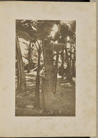 Seuralaiset tekijältä Henry W. Cave
