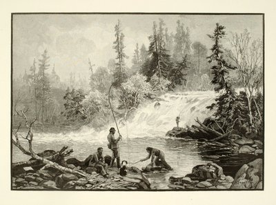 Taimenallas Nepignonissa tekijältä Henry Wolf