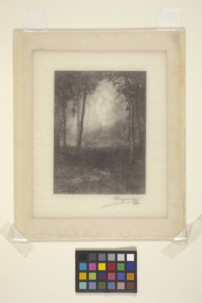 In The Adirondacks (muste) tekijältä Henry Wolf