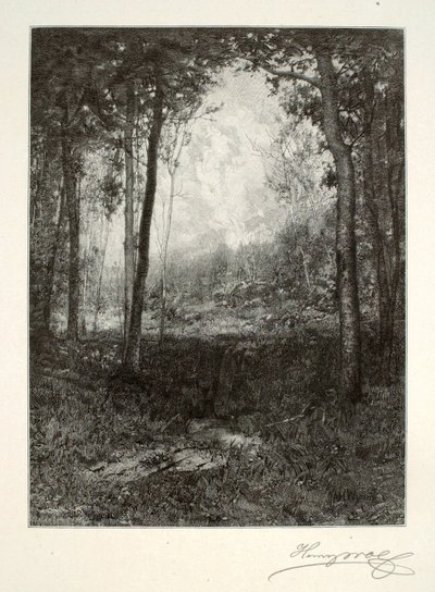 Adirondacksissa tekijältä Henry Wolf