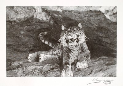 Tiikeri tekijältä Henry Wolf