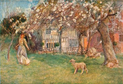 "Lambs", c1904 tekijältä Herbert Alexander Collins