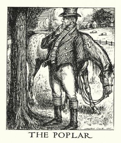 Ingoldsby Legends: Poppeli (litografia) tekijältä Herbert Cole