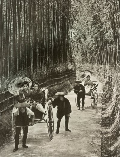 Bamboo Avenue Kiotossa, 1910. tekijältä Herbert Ponting