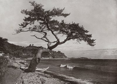 Atami (m/w kuva) tekijältä Herbert Ponting