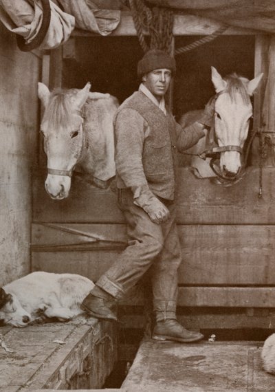 Kapteeni Oates ja ponit Terra Novalla, 1910-1912, 1913. tekijältä Herbert Ponting