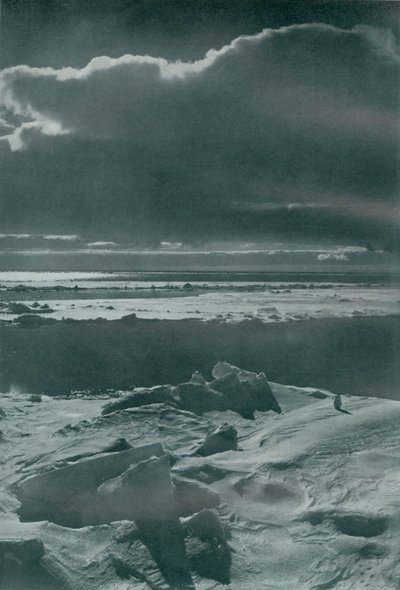Iltakohtaus pakkauksessa, c19101913, 1913 tekijältä Herbert Ponting