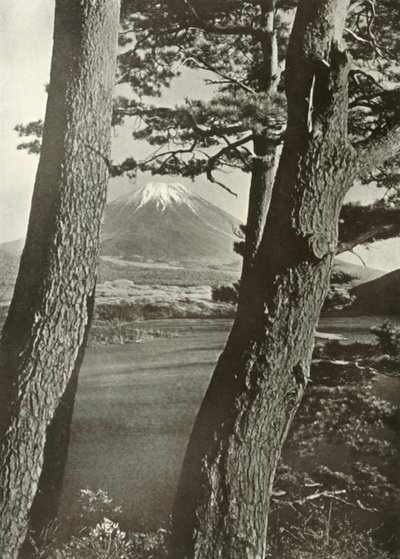 Fuji Motosu-järven mäntyjen läpi, 1910. tekijältä Herbert Ponting