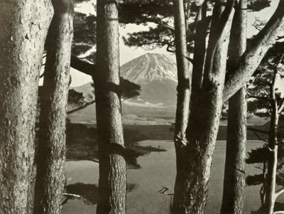 Fuji ja mäntypuut, 1910. tekijältä Herbert Ponting