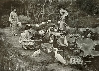 Lotus-Landissa, 1910. tekijältä Herbert Ponting