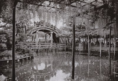 Kameido (m/w kuva) tekijältä Herbert Ponting