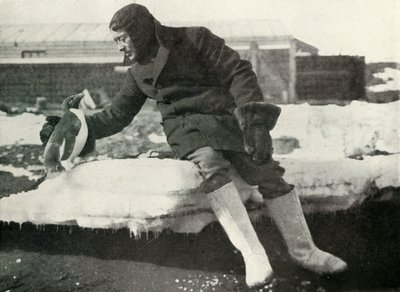 Liut. Rennick ja ystävällinen pingviini, 1911, 1913 tekijältä Herbert Ponting
