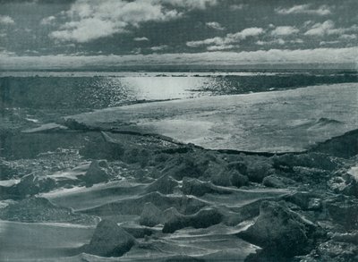 Moonlight in the Pack, c19101913, 1913 tekijältä Herbert Ponting
