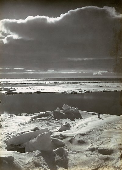 Auringonlasku laumassa tekijältä Herbert Ponting