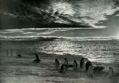 Keskiyön aurinko McMurdo Soundissa, c19101913, 1913 tekijältä Herbert Ponting
