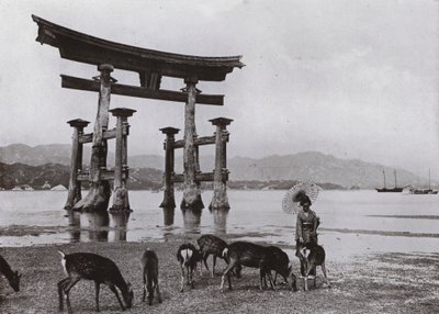 The Old Torii at Miyajima (m/w kuva) tekijältä Herbert Ponting