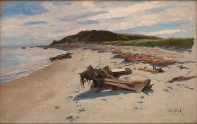 Cape Cod, Ranta tekijältä Herman Hartwich