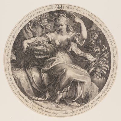 Flora tekijältä Herman Jansz. Muller