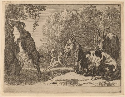 Goats tekijältä Herman van Swanevelt
