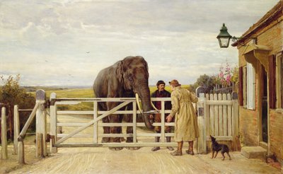 Kiistanalainen tiemaksu tekijältä Heywood Hardy
