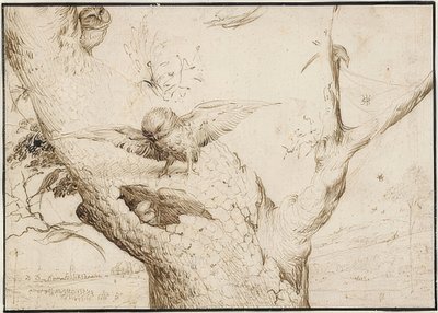 Eulennest. A 1505-10 tekijältä Hieronymus Bosch