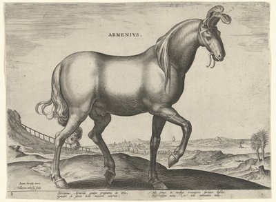 Hevonen Armeniasta (Armenius) armenialaiset (otsikko esineessä) Hevosrodut Itävallan Don Juanin kuninkaallisilta tallilta (sarjan nimi) Equile Ioannis Austriaci Caroli (sarjan nimi) tekijältä Hieronymus Wierix