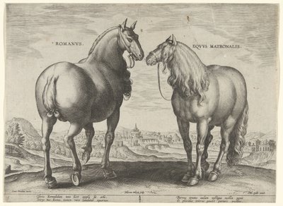 Hevonen Roomasta ja sijaistamma Romanvs Eqvvs Matronalis (otsikko esineessä) Hevosrodut Itävallan Don Juanin kuninkaallisilta tallilta (sarjan nimi) Equile Ioannis Austriaci Caroli (sarjan nimi) tekijältä Hieronymus Wierix