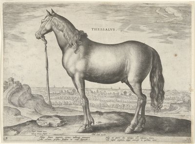 Hevonen Thessaliasta (Thessalus) Thessalvs (otsikko esineessä) Hevosrodut Itävallan Don Juanin kuninkaallisilta tallilta (sarjan nimi) Equile Ioannis Austriaci Caroli (sarjan nimi) tekijältä Hieronymus Wierix