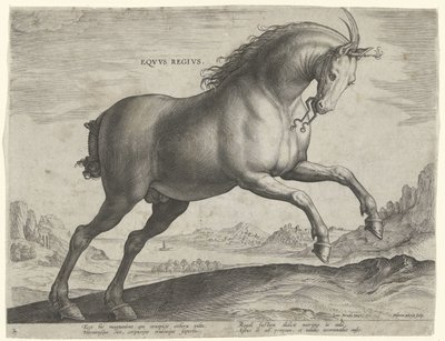 Equus Regius -rodun hevonen (kuninkaallinen) Eqvvs Regivs (otsikko objektissa) Hevosrodut Itävallan Don Juanin kuninkaallisilta tallilta (sarjan nimi) Equile Ioannis Austriaci Caroli (sarjan nimi) tekijältä Hieronymus Wierix