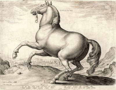 Gallicus sarjasta Hevoset Itävallan Don Juanin tallilta (kaiverrus kudoksiin) tekijältä Hieronymus or Jerome Wierix