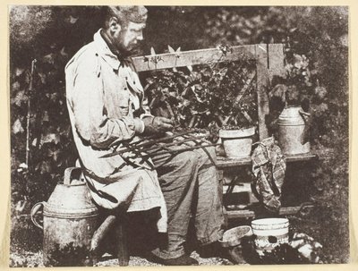 Bayard Jardinier tekijältä Hippolyte Bayard