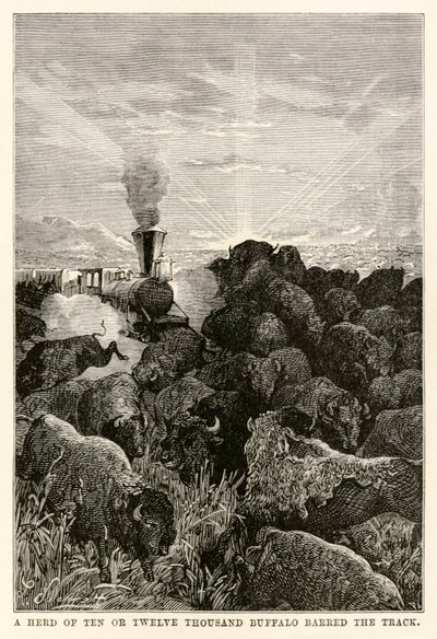Kymmenen tai kahdentoista tuhannen biisonin lauma esti tien, Jules Vernen (1828-1905) teoksesta Maailman ympäri kahdeksassakymmenessä päivässä, kaivertaja Louis Prevost, 1873. tekijältä Hippolyte Leon Benett
