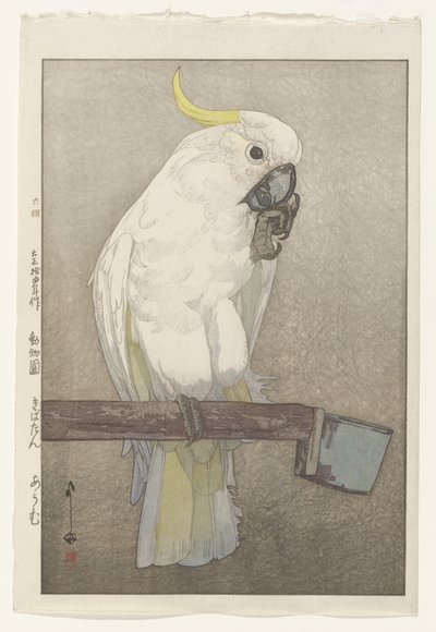 Rikkiharjakakadu tekijältä Hiroshi Yoshida