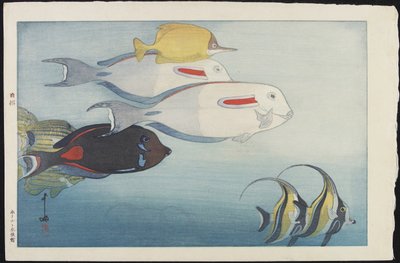 Honolulun akvaario tekijältä Hiroshi Yoshida