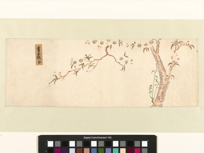 Kukkiva kirsikkapuu tekijältä Hiroshige (I) , Utagawa (attributed to)