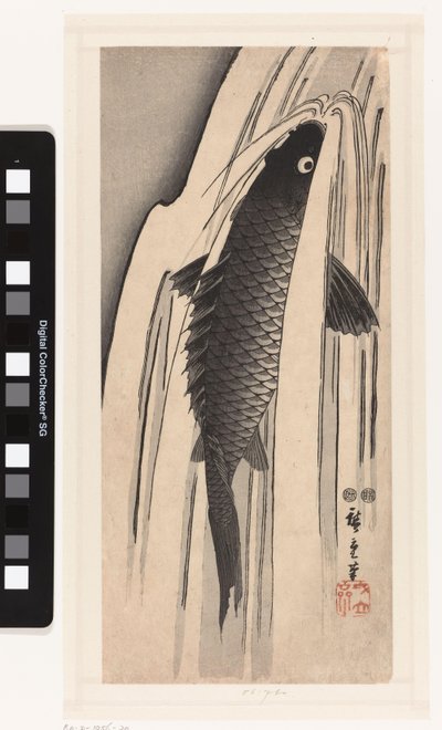 Karppi uimassa vesiputousta vasten tekijältä Hiroshige (I) , Utagawa