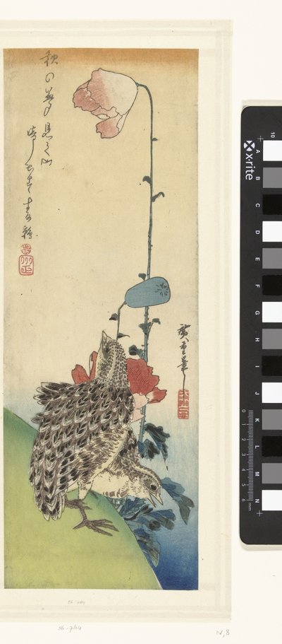 Viiriäinen ja unikot tekijältä Hiroshige (I) , Utagawa