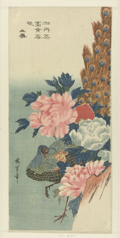 Riikinkukko ja pionit tekijältä Hiroshige (I) , Utagawa