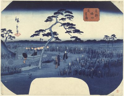 Kukkivat iirikset Horikirissä itäpääkaupungissa Toto Horikiri hanashobu (otsikko esineessä) tekijältä Hiroshige (II) , Utagawa