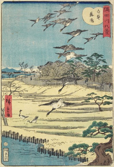 Kotihanhia Shirahigessä, marraskuu 1861 tekijältä Hiroshige II
