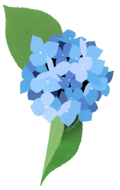 hortensia tekijältä Hiroyuki Izutsu