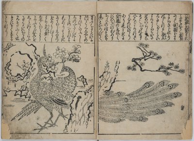 Kukkien ja lintujen kokoelma (Kacho zukushi) tekijältä Hishikawa Moronobu