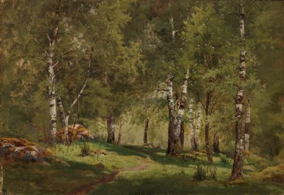  tekijältä Hjalmar Munsterhjelm
