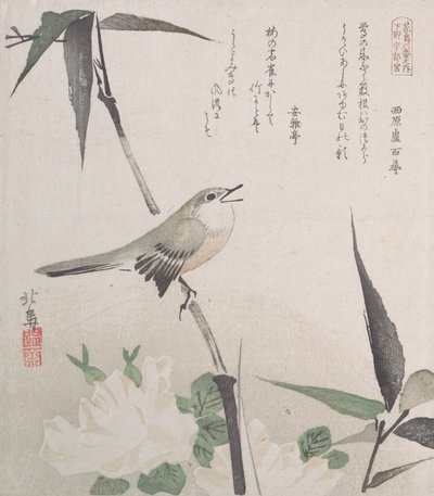 Ruusuja ja bambua satakielillä, 1800-luku, 1800-luku. tekijältä Hokuba