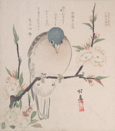 Spring Rain Collection Harusame shu, voi. 3: Mountain Dove ja Peach Flowers, n. 1820, n. 1820. tekijältä Hokuba