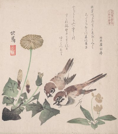 Spring Rain Collection Harusame shu, voi. 3: Varpuset ja voikukat, n. 1820, n. 1820. tekijältä Hokuba